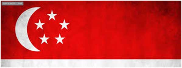 Singapore National Flag