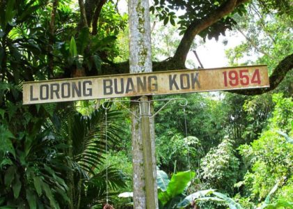 How To Find Romance And Love In Kampong Lorong Buangkok