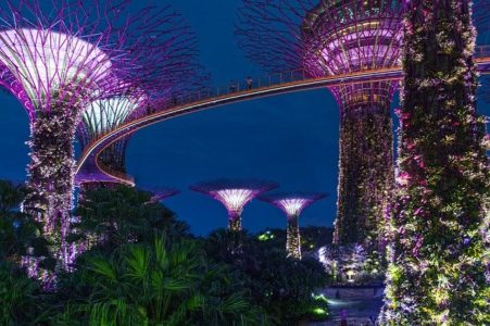 Visiting Singapore – Reasons That Will Make You Consider