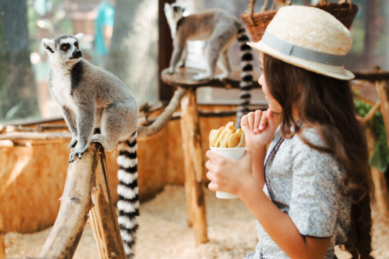Singapore Zoo
