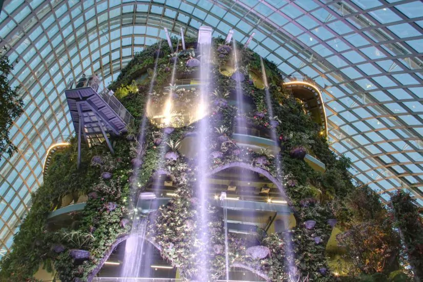 The Unexpected Supernatural Affair In The Cloud Forest